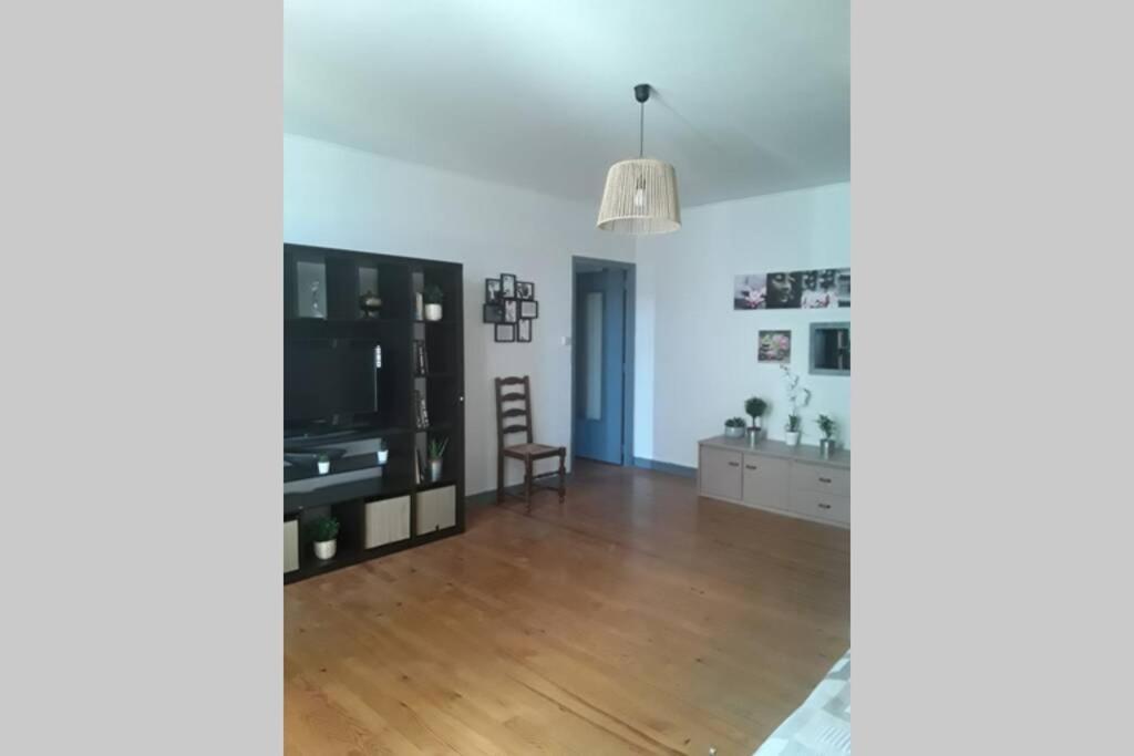 Appartement Chaleureux De 82M2 Proche De Vulcania Pontaumur Экстерьер фото